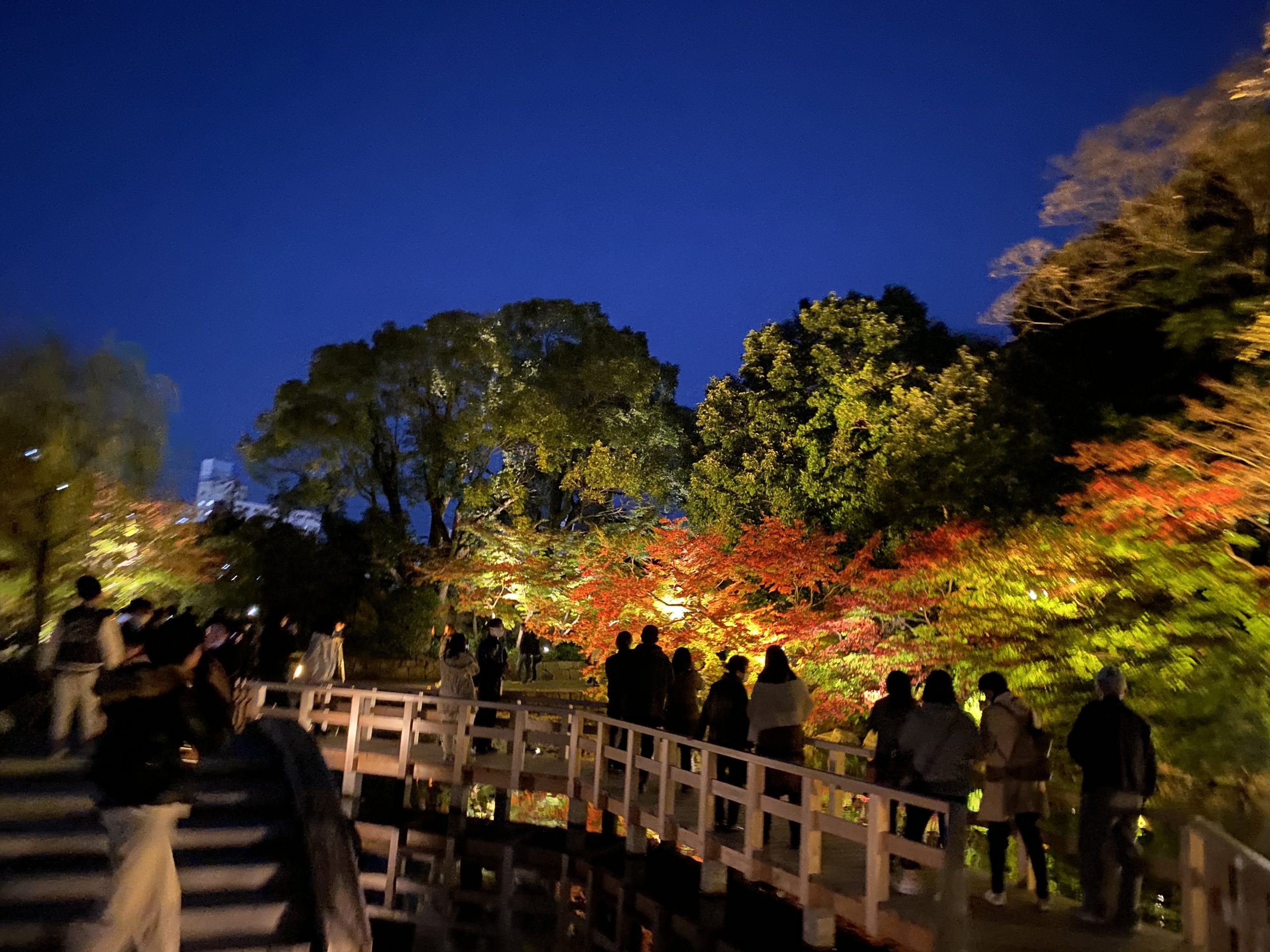 徳川園紅葉祭 紅葉ライトアップがとてもきれいでした Tax And The Sake